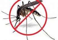 O wszystkim po trochu: ile mieszka komar?