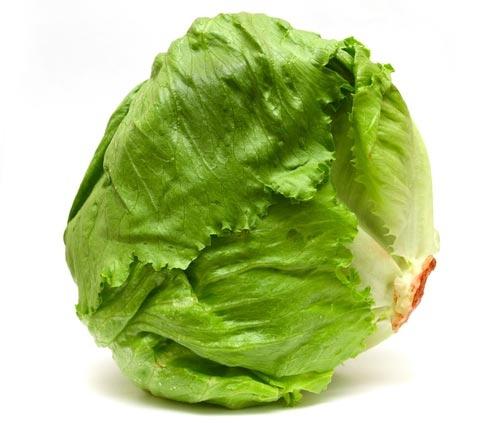 useful properties of iceberg lettuce