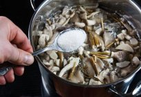 Incomum cogumelos-guarda-chuvas: preparação de receitas