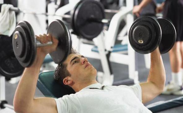 Workouts for beginners at the gym