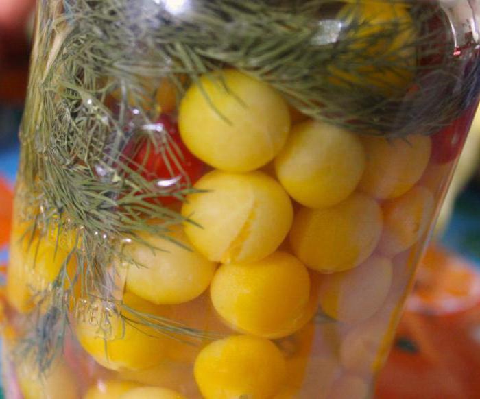 Marinade für die Tomaten auf drei-Liter-Glas mit Kiefer-Zweig