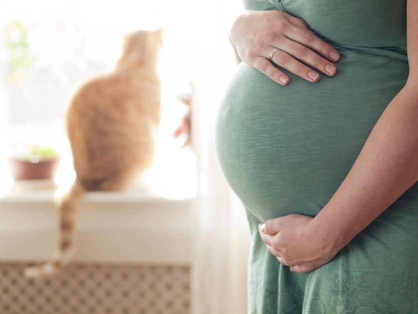 eine schwangere Frau mit einer Katze