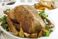 A traditional dish for Christmas and beyond: a goose recipe in the oven