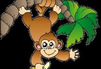 A lo que sueña el mono: el libro de oniromancia clarificará
