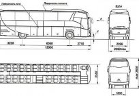 MAZ-251 - حافلة سياحية