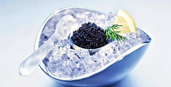 der schwarze Kaviar Stör