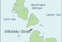 ¿Quién descubrió el estrecho de Вилькицкого? Dónde está?