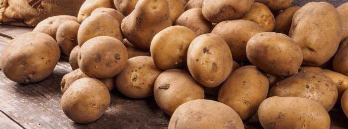 Colombo potatoes description