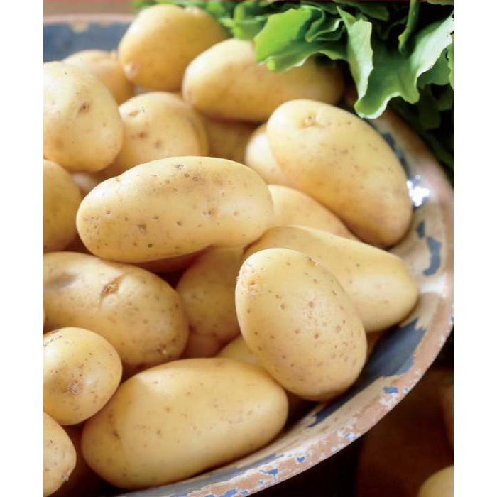 Batatas Colombo
