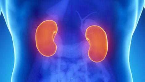 the treatment of nephritis of the kidneys