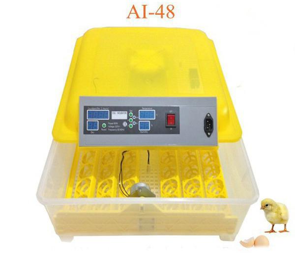 chiński regulator temperatury do inkubatora