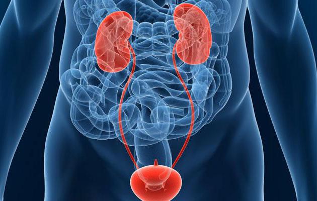 bladder cancer in men survival rate metastases