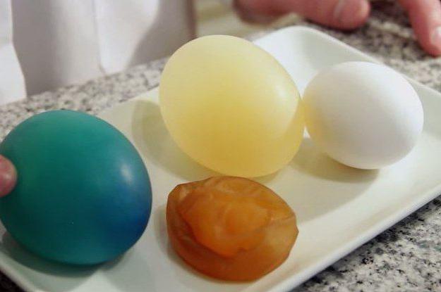 un experimento con un huevo y vinagre