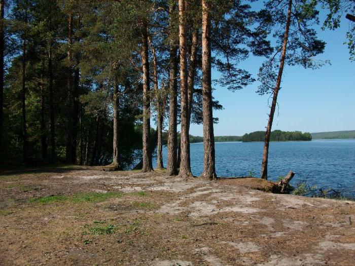 la base del descanso nahimovskoe lago