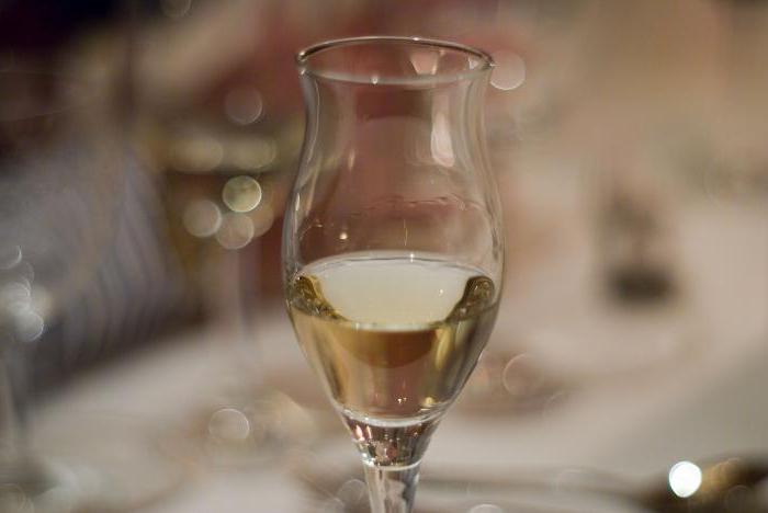 how to drink Grappa right