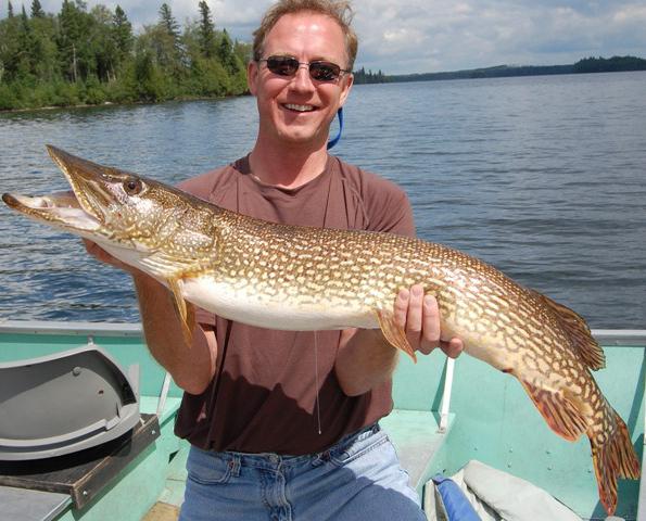summer Pike on spinning.