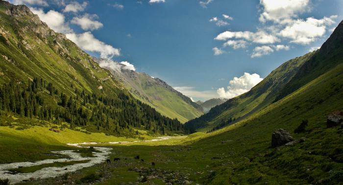 टिप्पणी किर्गिस्तान