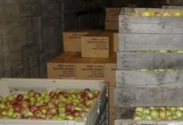 Jak przechowywać jabłka na zimę: przydatne wskazówki
