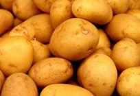 Odmiany ziemniaków w Białorusi: wczesne, среднеранние, среднеспелые, среднепоздние, Nazwa, opis, plony