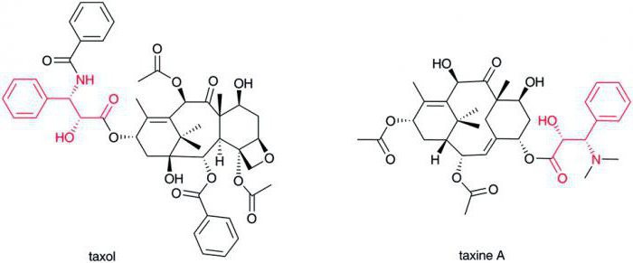 氨基酸的生物化学20