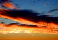 ¿Qué es la nube y por qué están las personas