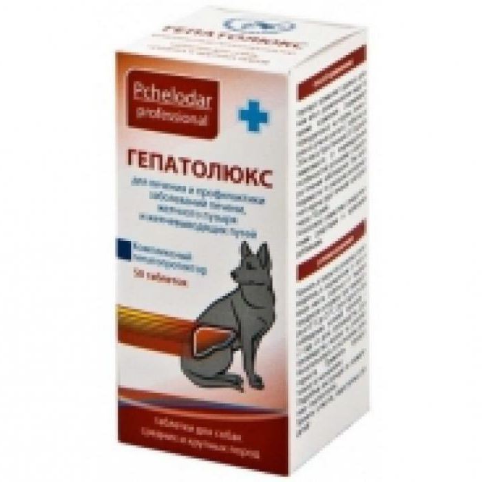 hepatogenic for dogs analogs