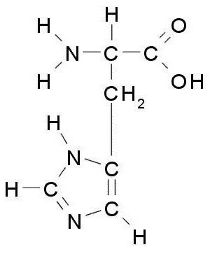 氨酸化学性质的反应