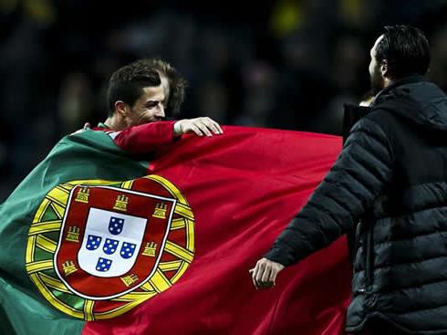 Qual é a bandeira de Portugal?
