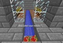 Details on how to make a diamond farm in Minecraft