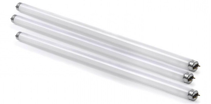 types of fluorescent fluorescent lamps