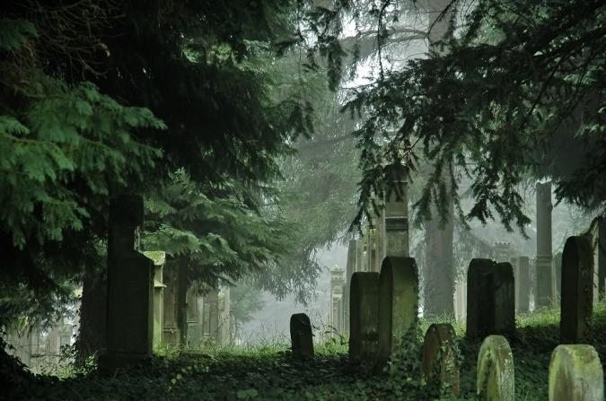 sennik szukać grobu na cmentarzu