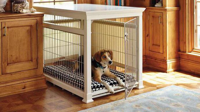 la jaula para perros en el apartamento