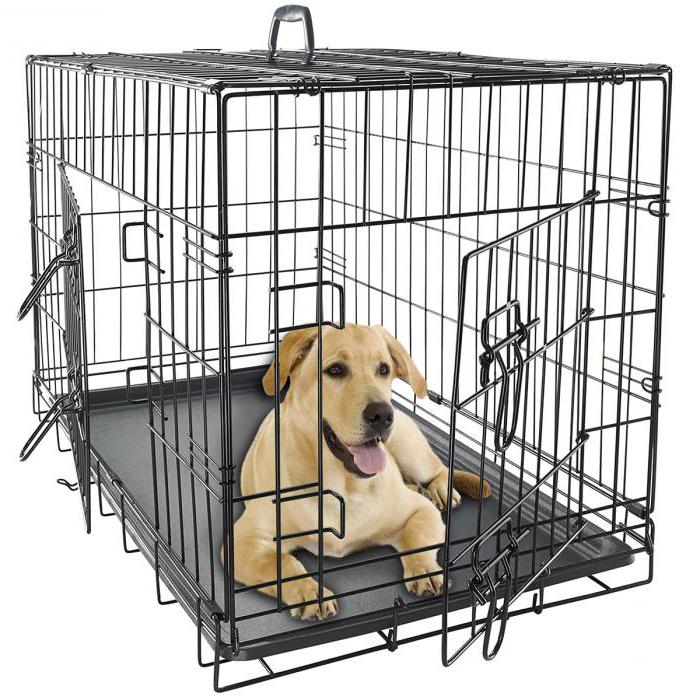 the dog cage in the apartment with his hands