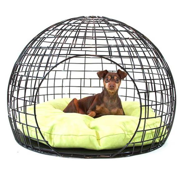 cages for dogs in the apartment photo