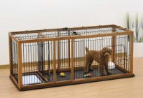 Cage for dogs in the apartment. How to teach your dog in the apartment to the cage?