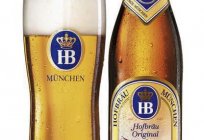 «Хофброй»: ein Bier, von dem die ganze Welt weiß