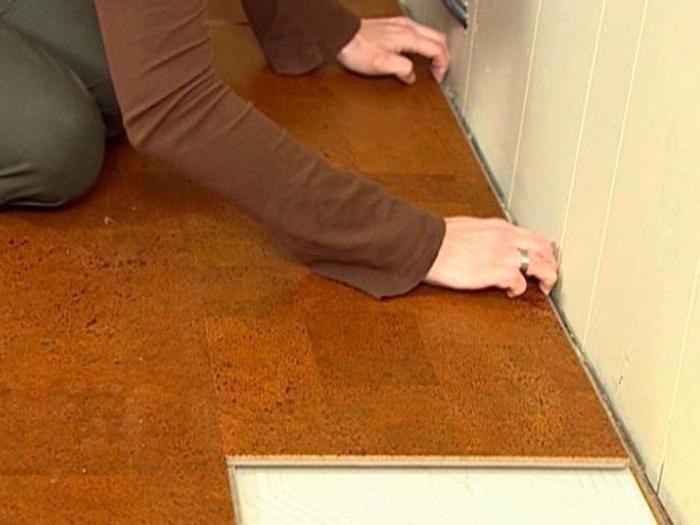 cork expansion joint between tile and laminate
