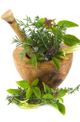 herbs that boost your immune system