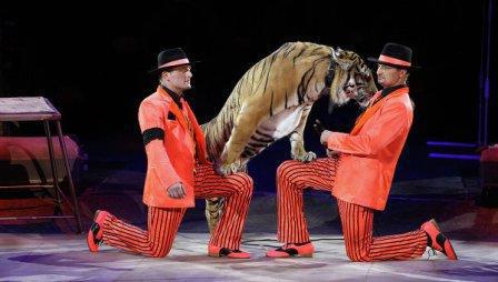 emotions and the circus brothers Zapashny reviews