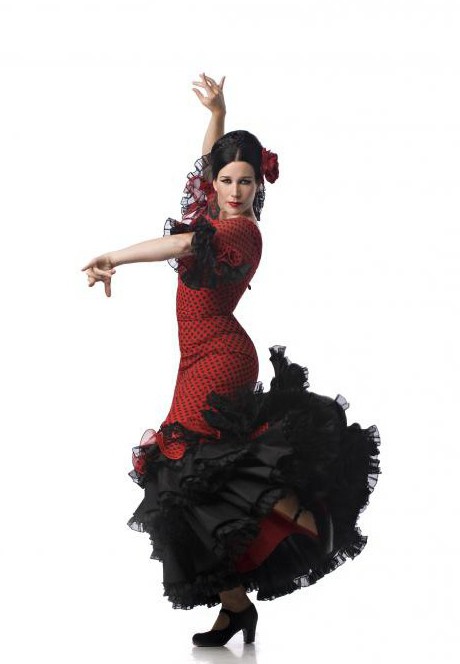flamenco de la foto