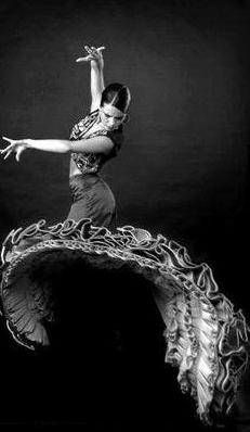 la formación de flamenco