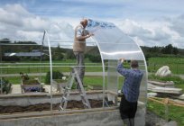 Factory finished greenhouse: feedback from employees