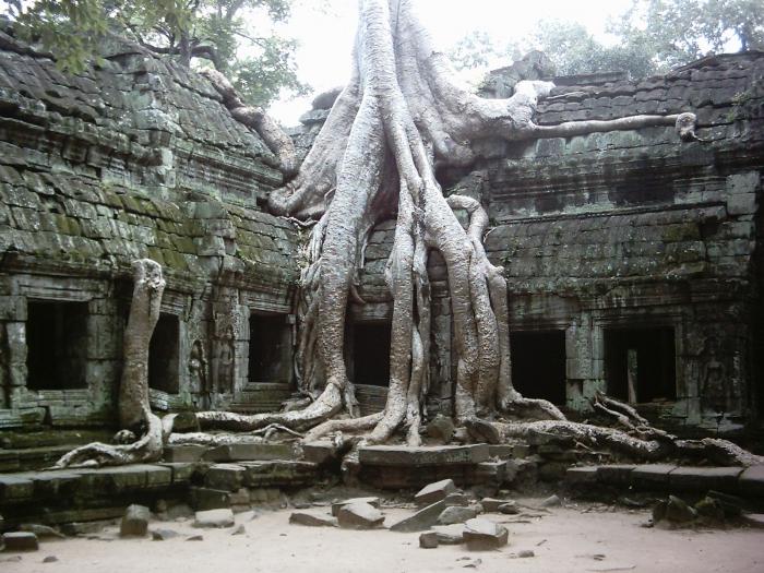 芭堤雅旅游在柬埔寨的评论