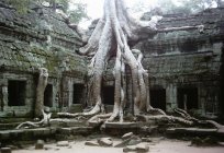 游览从芭到柬埔寨–有机会看到吴哥窟，而不仅仅