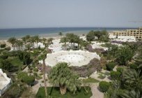 沙姆斯萨法加的海滩度假村4*(萨法加的，赫尔格达、埃及)：酒店说明、照片和审查的游客