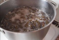 Як робити варення з шишок сосни