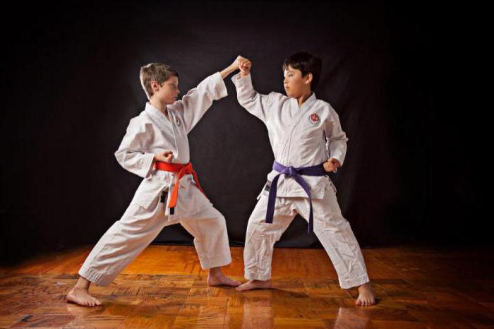 Karate сетокан Gürtel