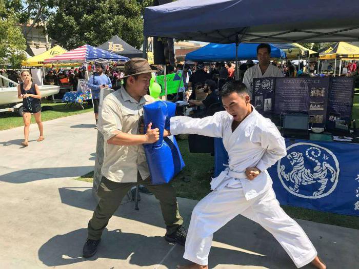 Meisterschaft im Karate сетокан