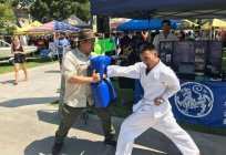 Karate сетокан: eine der wichtigsten japanischen Karate Stile