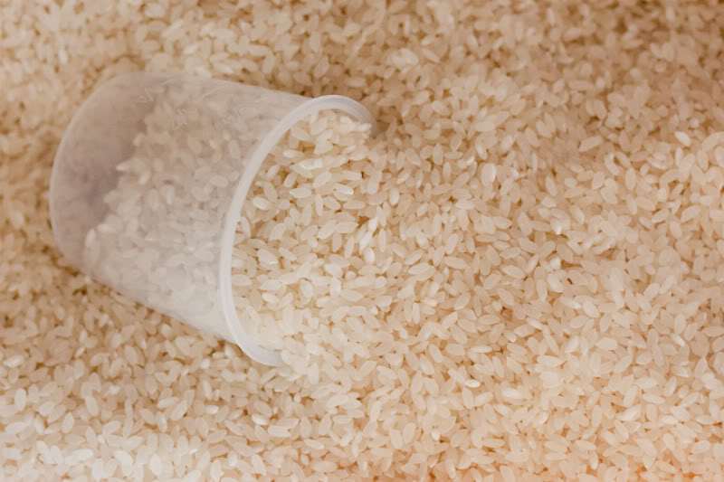 Ryż podczas gotowania nie wolno solić